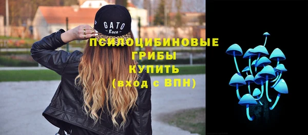 трава Алзамай