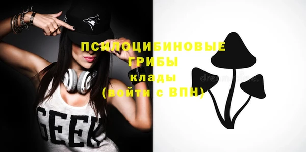 хмурый Алексеевка