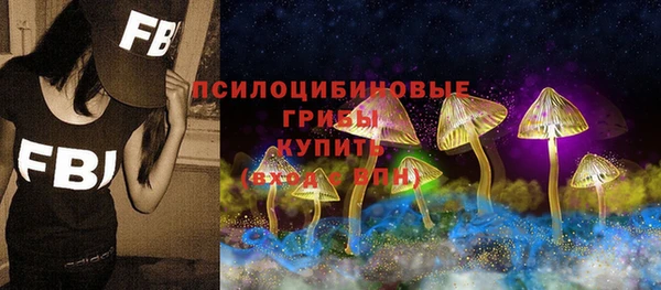 ГАЛЛЮЦИНОГЕННЫЕ ГРИБЫ Алексин