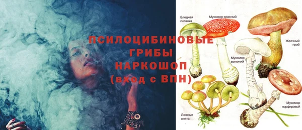 ГАЛЛЮЦИНОГЕННЫЕ ГРИБЫ Алексин